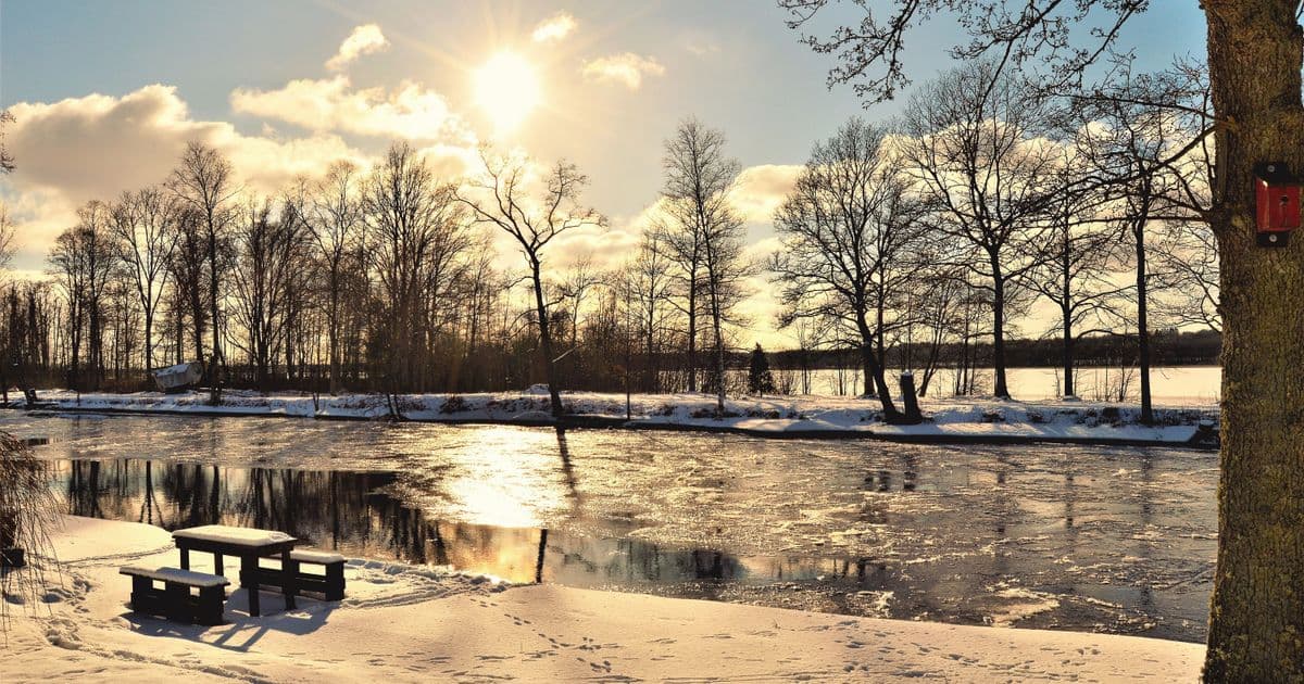Daylight Hours in Sweden by Month: From 6 Hours in December to 19 in June