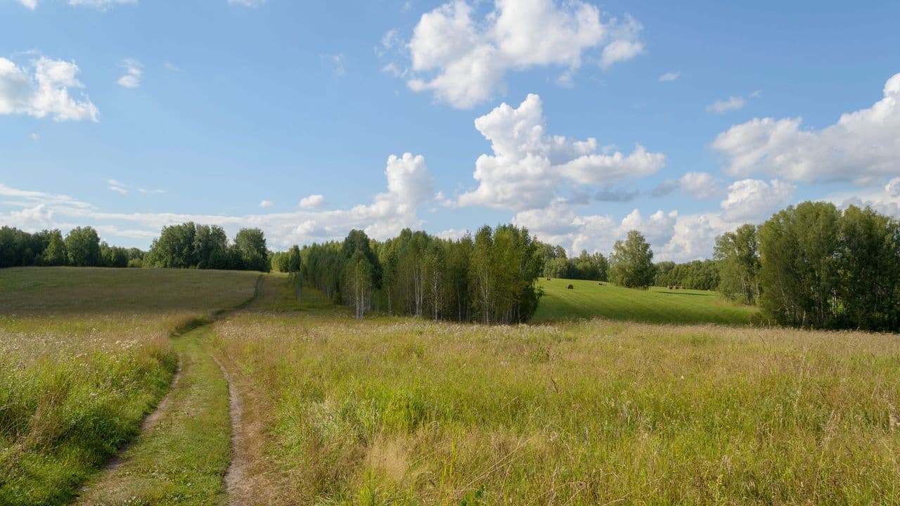 What Moving to Sweden Actually Costs, August 2026